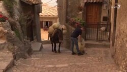 جمع‌آوری زباله به شیوه‌ای سبز!