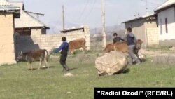 Иллюстрациялык сүрөт.