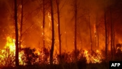 Një pyll duke u djegur pranë Bordosë në Francë, 26 korrik 2026.