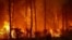 Лесной пожар во Франции, 26 июля 2026 года