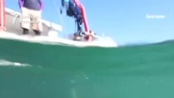 "Болгар Атлантидасының" тарихы пирамидалардан да терең болуы мүмкін