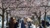 Swedes enjoy the spring sunshine at an outdoor restaurant in Stockholm on March 26.