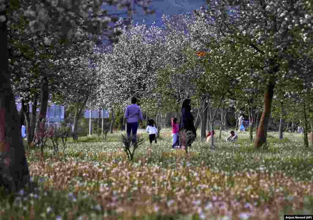 A family walks in a park amid trees and flower blossoms with the arrival of spring in Islamabad, Pakistan. (AP/Anjum Naveed)