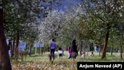 The arrival of spring in Islamabad (file photo)