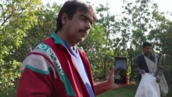 پاکستان کې ځینو باغوانانو د مالټو پلورلو لپاره ټيکټاک ته مخه کړې 