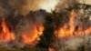 ادامه آتش‌سوزی در غرب و جنوب ایران؛ بالگردهای آب‌پاش اعزام نشد