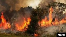 Wildfire in southern Iran burning precious woodlands and wildlife. May 29, 2020