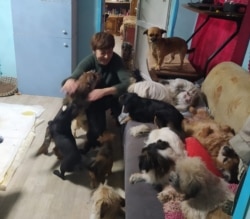 Галина Алиева со своими собаками