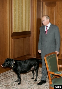 Владимир Путин с лабрадором Кони