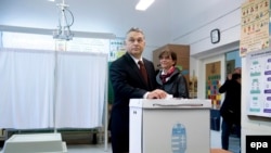 Viktor Orban na biralištu