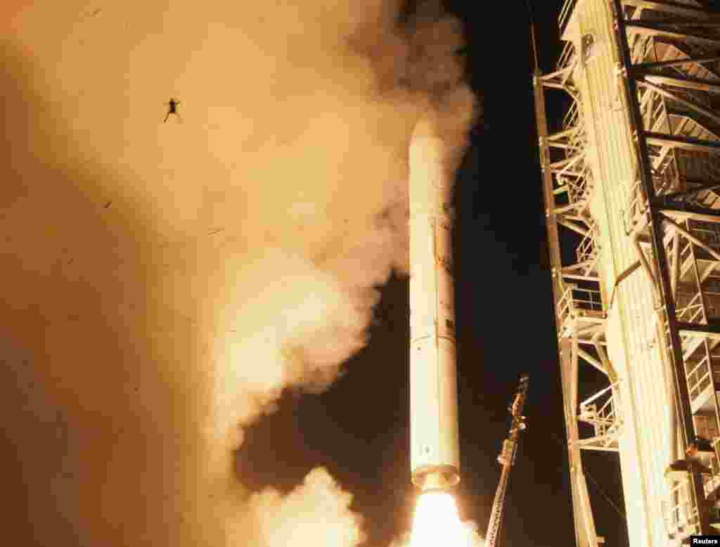 A frog is captured in an image of a liftoff of NASA&#39;s Lunar Atmosphere and Dust Environment Explorer from a flight facility in Virginia. (Reuters/Chris Perry)