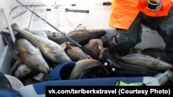 Рыбалка в Териберке