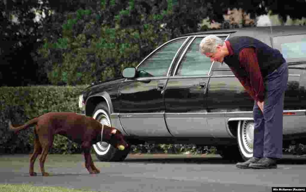 2 березня 1998 року.&nbsp;Білл Клінтон, 42-й президент США, намагається змусити свого собаку Бадді повернути м&#39;яч на Південному газоні Білого дому&nbsp;