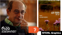 "სანდრო კობერიძის „ხმელი ფოთოლი“, რომელსაც 29 დეკემბერს, "დოკას კლუბის" ინიციატივით, კინოთეატრ “ამირანში” უჩვენებენ, ადრეულ კინოს, კინოპრიმიტივისტების ფილმებს მოგაგონებთ..."