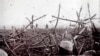 An undated photo shows German soldiers crossing a field, offering to surrender to French troops at a listening post in a trench at Massiges, France.