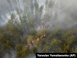 Лісова пожежа в зоні відчуження навколо Чорнобильської АЕС. 5 квітня 2020 року