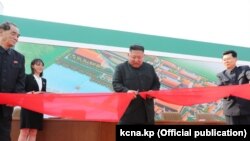 Солтүстік Корея басшысы Ким Чен Ын жаңа зауыттың лентасын қиып тұр. 2 мамырда Солтүстік Корея ақпарат құралдары жариялаған сурет. 