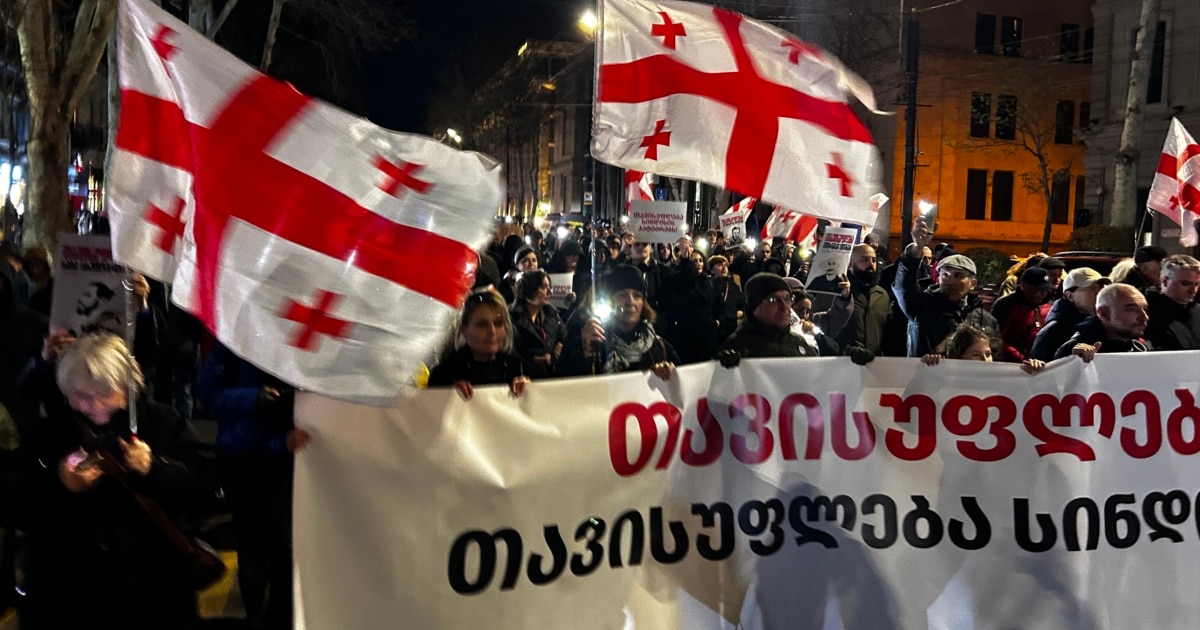 “თავისუფლება ელენეს, თავისუფლება სინდისის პატიმრებს” - თბილისში შაბათის მარში გაიმართა