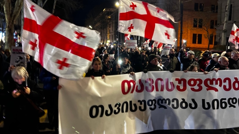 “თავისუფლება ელენეს, თავისუფლება სინდისის პატიმრებს” - თბილისში შაბათის მარში გაიმართა