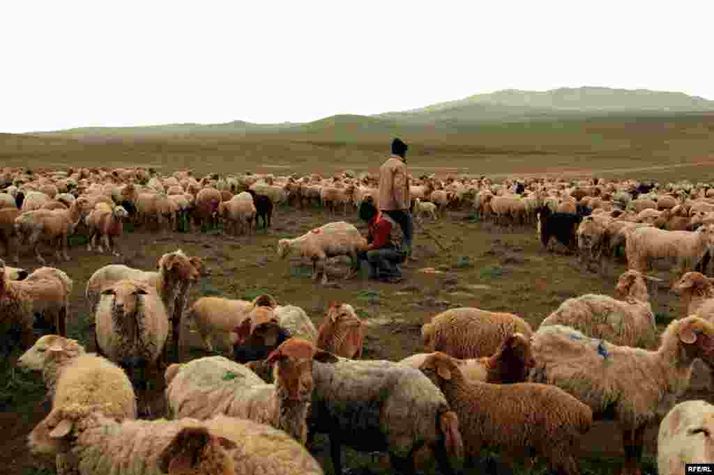 A Spring Passage Through The Caucasus #31