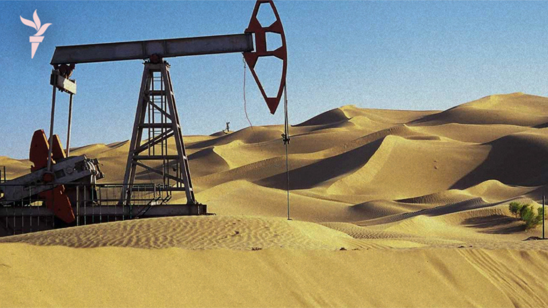 Бір топ нимфоманды клубта ұрып-соқты