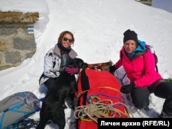  С шейна до Черни връх на Витоша 