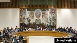 The congressmen said in a joint statement that the UN Security Council (pictured) needs time to move on multilateral sanctions.