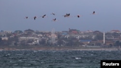 Черноморское побережье Крыма, архивное фото