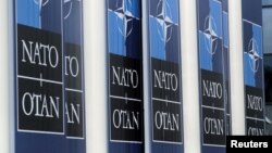 За словами представниці Вашингтона, всі союзники по НАТО відкриті до діалогу з Росією, але в той же час «готові спільно захищатися від загроз союзникам по НАТО і подальшій російській агресії проти наших партнерів у Європі»