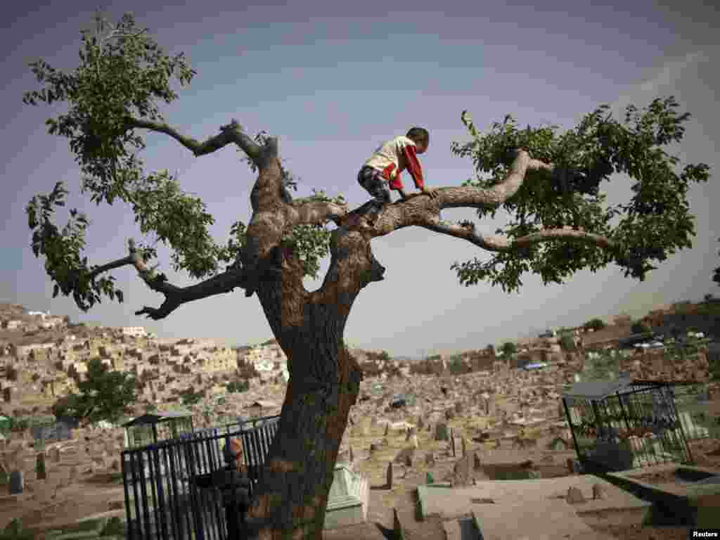 Afganistan - Dječak u potrazi za trešnjama, Kabul, 05.06.2011. Foto: Reuters / Ahmad Masood