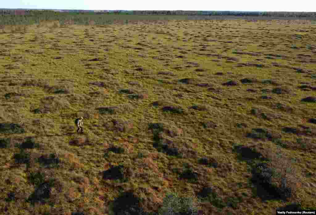 Ivanouski walks through the Belarusian wilderness. The nature-lover admits he is sometimes afraid being alone in the territory of wolves and bears but says: &quot;I always remember the joke: &#39;There is no beast worse than a man.&#39;&quot;