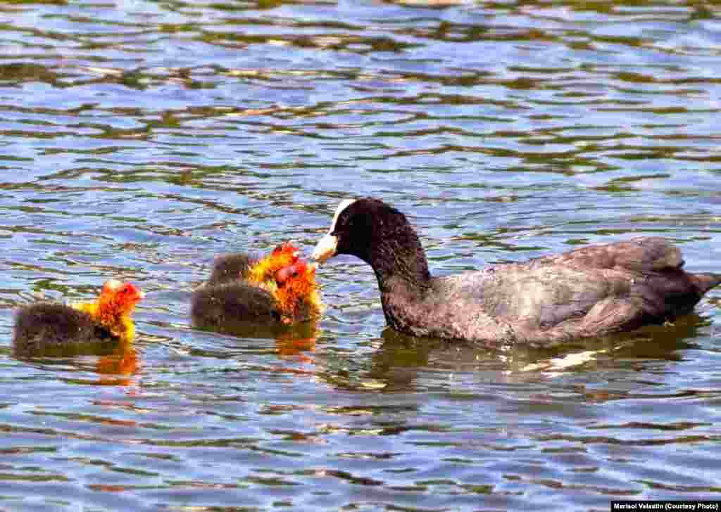 پارک سانتیاگو