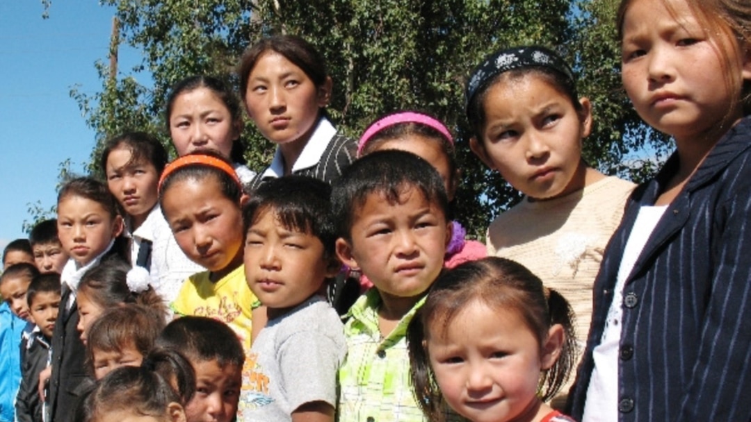 Орындықтағы бөкселер фотосы Орындықтағы бөкселер фотосы