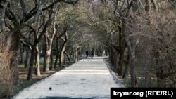 Горы грязи и реки асфальта: как реконструируют Гагаринский парк в Симферополе (фотогалерея)
