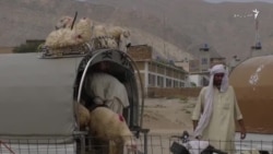 بلوچستان حکومت د قربانۍ څاروي په ارزانه بیه پلوري