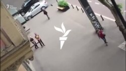 Тбилисские вороны атакуют прохожих