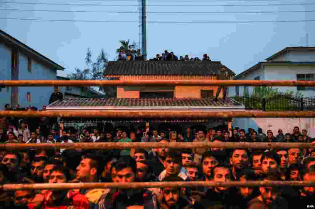 Edam günü Mazandaran Osatnının Nur şəhərində adamlar dar agacanın səhnə kimi quraşdırıldığı kütləvi edam yerinə toplaşıb