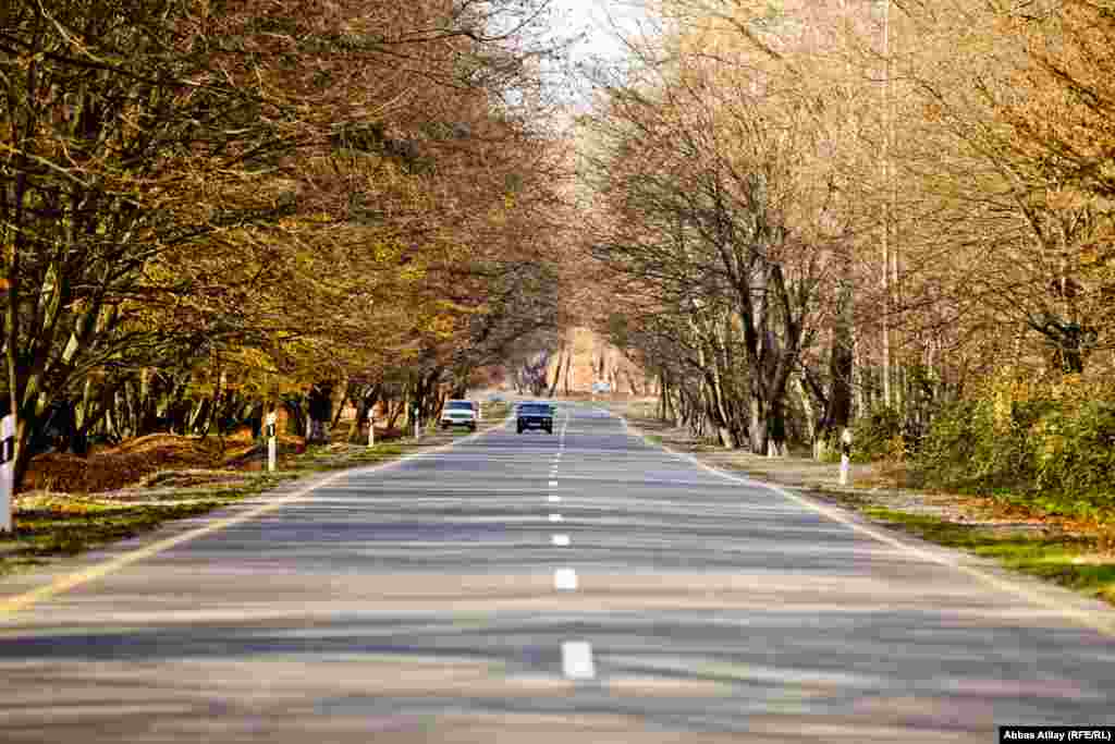 İsmayıllı-Qəbələ yolu.
