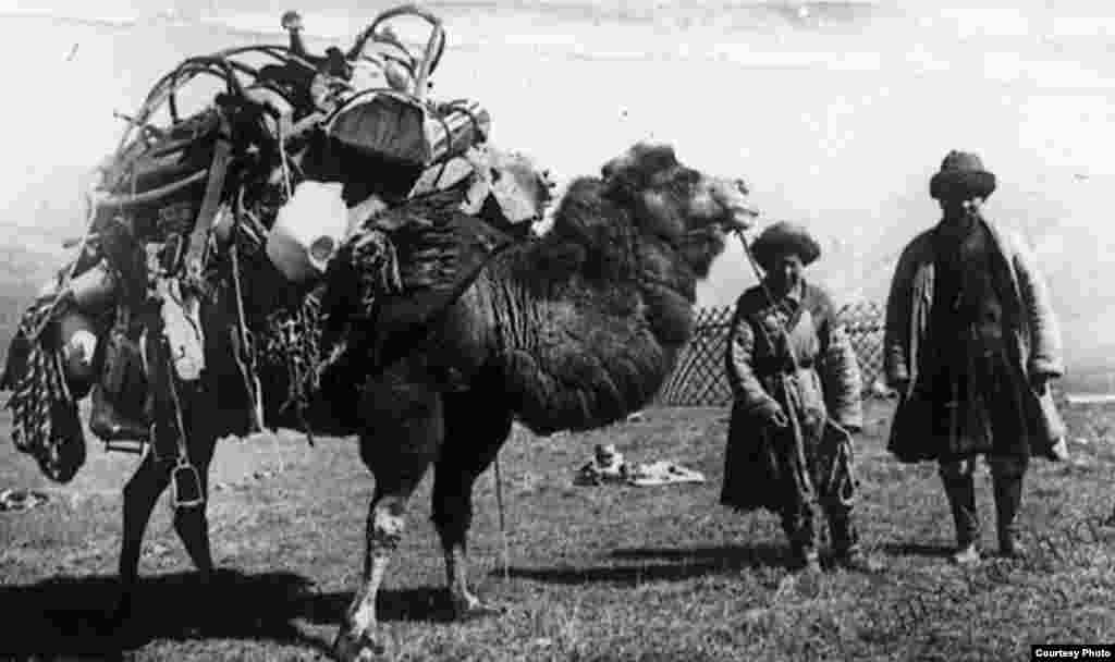 Кыргыз во время перевозки домашнего имущества на верблюде.