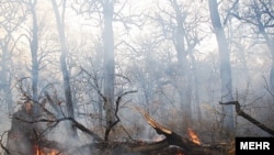 آتش سوزی در جنگل‌های گلستان