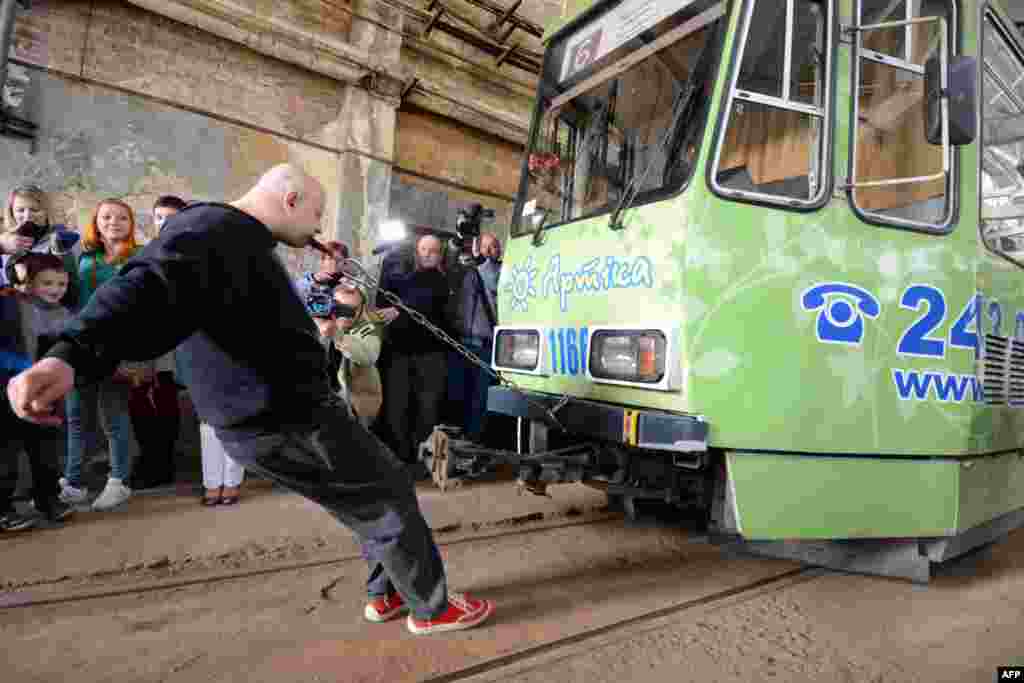 Ukrainian strongman Oleh Skavysh pulls a 19.5-ton tram a distance of 6.8 meters with his teeth to set a new world record in Lviv on November 4. (AFP/Yuriy Dyachyshyn)