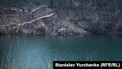 Ілюстративне фото. Хатка бобрів в кілометрі від зруйнованого енергоблоку ЧАЕС