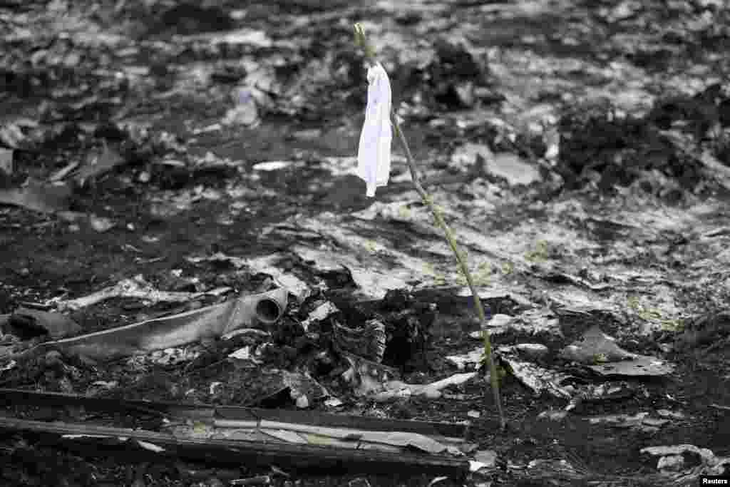 A white flag marks the location of the remnants of a body at a crash site on July 18.&nbsp;