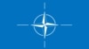 Emblema NATO.