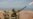 Iran To Launch Large-Scale Military Maneuvers