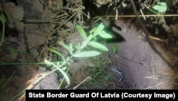 The exit of a tunnel discovered near the Belarus border fence in southeastern Latvia on August 11.