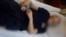 Secret videos allege abuse at Kazakhstan's only high-security psychiatric hospital.