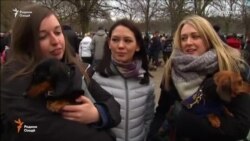 Сайри сагҳо дар Лондон