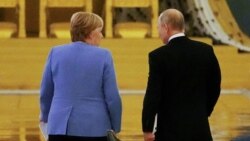 Время Свободы: Что Путину выборы, то Меркель нет 