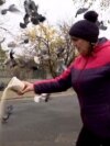 In A Frontline Ukrainian Town, A Woman Says The Birds Will Bring Peace (Video) In A Frontline Ukrainian Town, A Woman Says The Birds Will Bring Peace (Video)